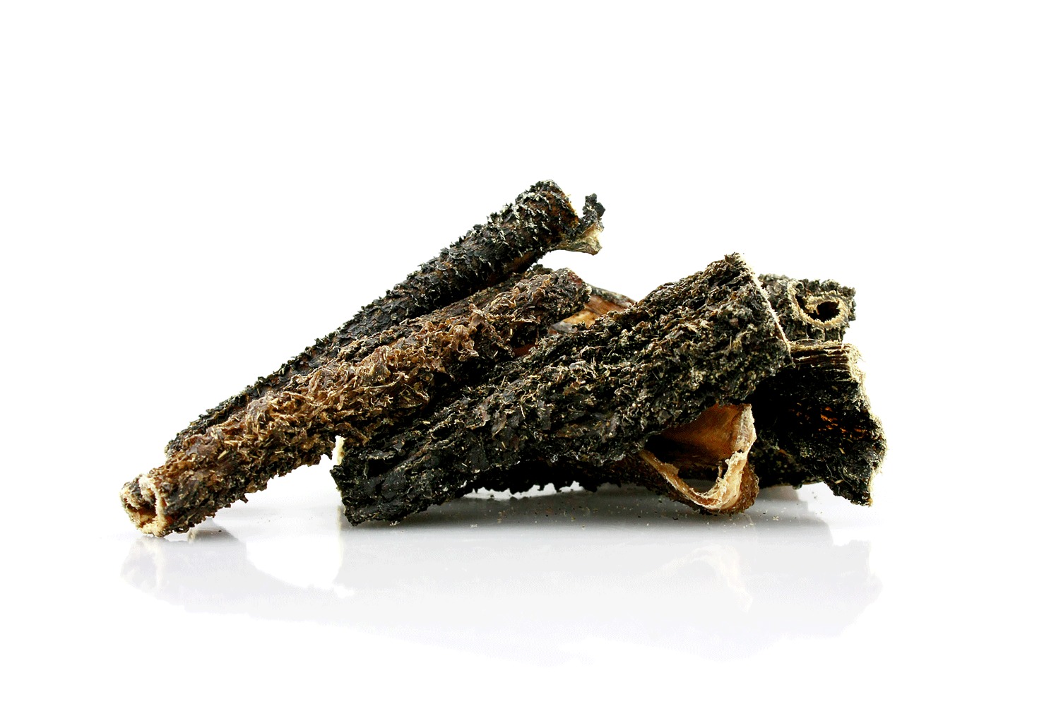 WhatsApp Image 2023-10-12 at 8.18.50 PM